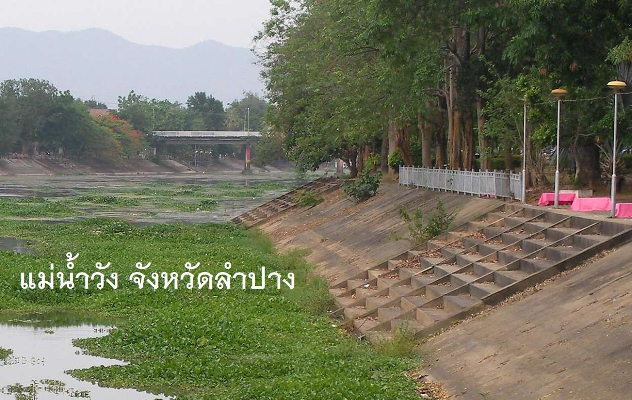 วัชพืชเต็มแม่น้ำ